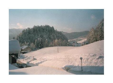 Sport-Alpin-Wohnung-9 Oberstdorf Esterno foto